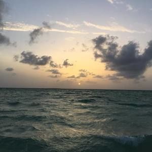 Meet your Posher, Berta